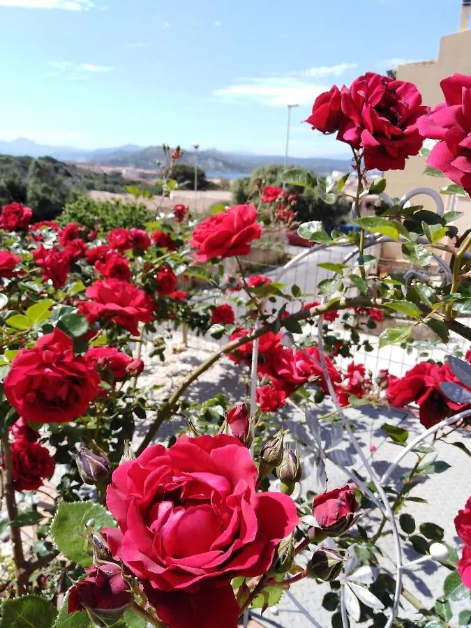 The Roses Garden Bed and Breakfast La Maddalena  Bed & Breakfast La Maddalena (Sassari)