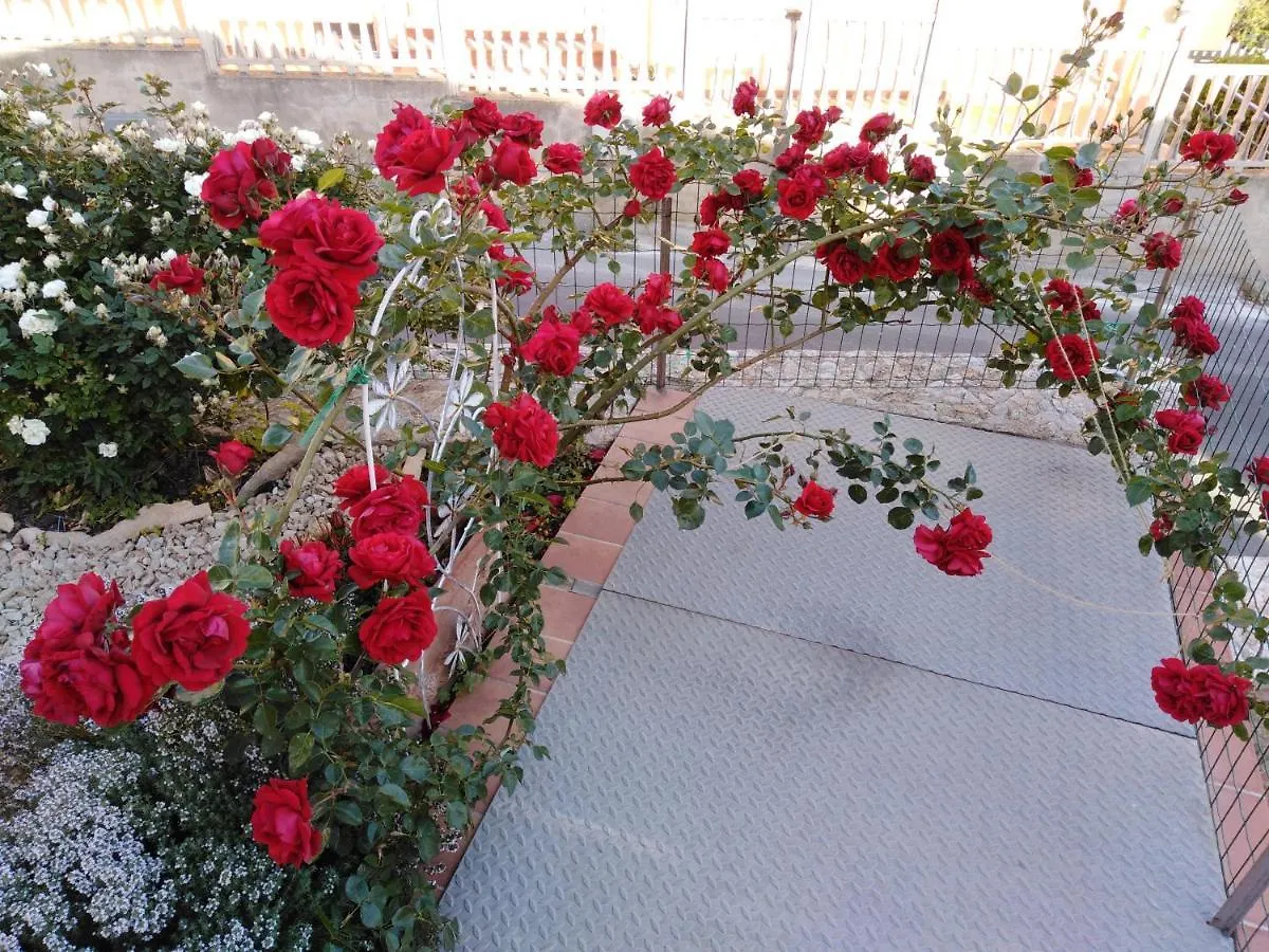The Roses Garden Bed and Breakfast La Maddalena