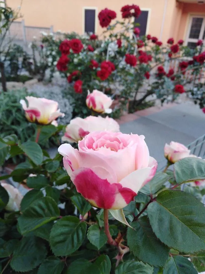 The Roses Garden Bed and Breakfast La Maddalena  Bed & Breakfast