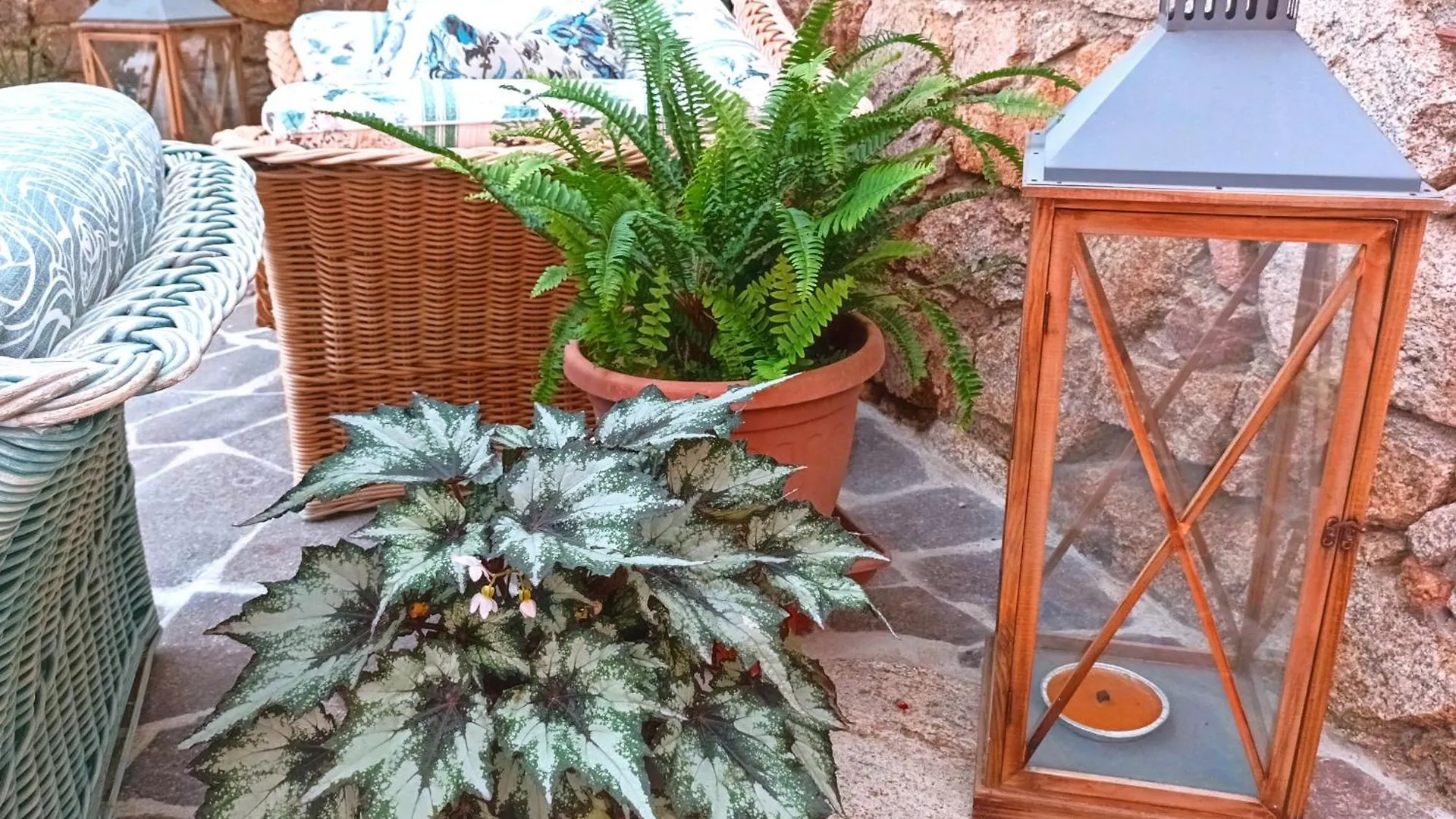 The Roses Garden Bed and Breakfast La Maddalena  Bed & Breakfast La Maddalena (Sassari)