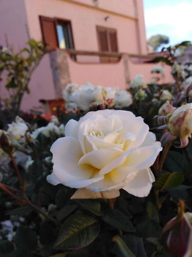 住宿加早餐酒店 马达莱纳The Roses Garden住宿加早餐旅馆